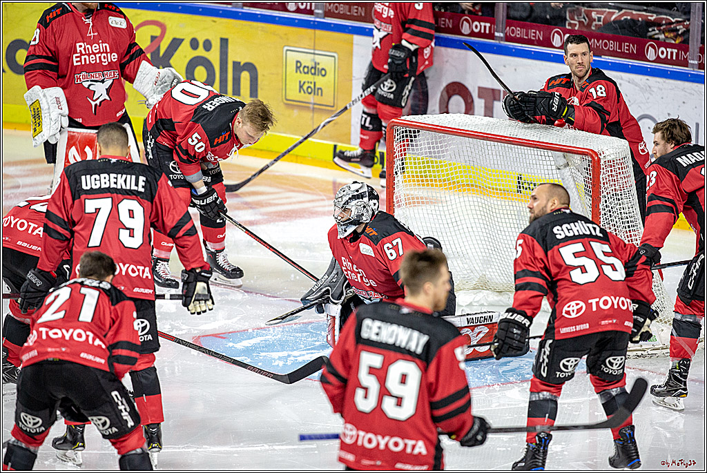 DEL; Koelner Haie - Thomas Sabo Ice Tigers Nuernberg, 19.02.2019